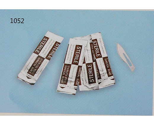 ������Ƭ